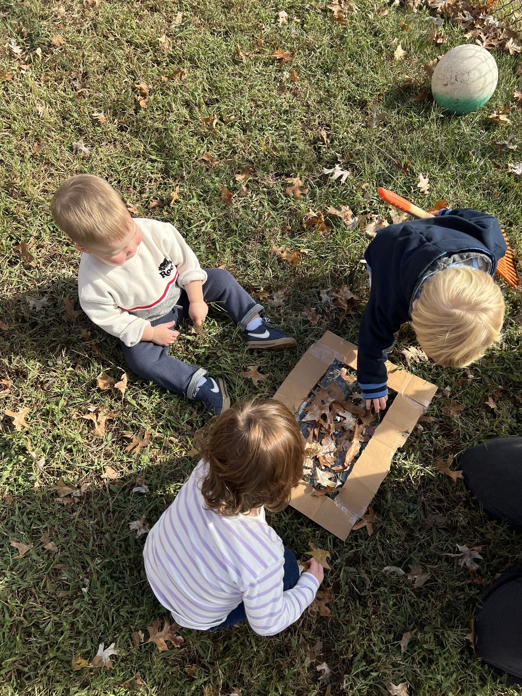 Toddlers sit in the grass outdoors exploring a box of fallen leaves.