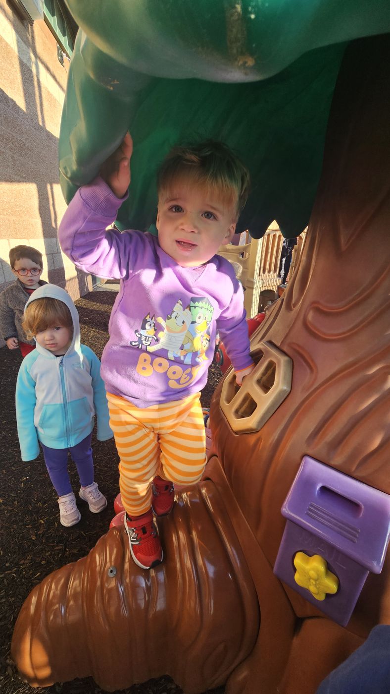 A toddler in a purple sweatshirt climbs the tree-shaped playhouse on the playground.