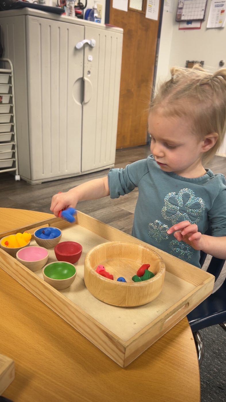 A toddler sorts colorful wooden pieces into bowls on a wooden tray.