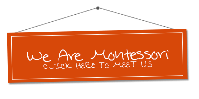 Meet The North American Montessori Staff, North American Montessori