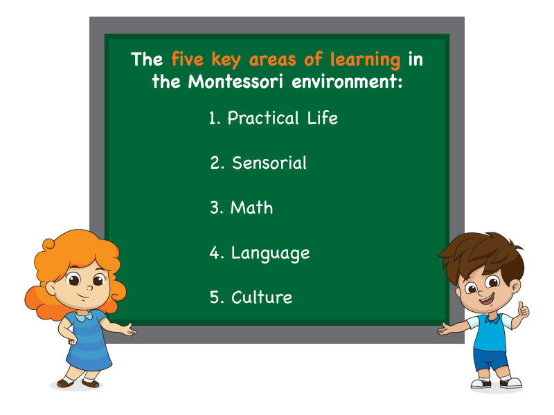 5 Learnign Areas of Montessori Method 2