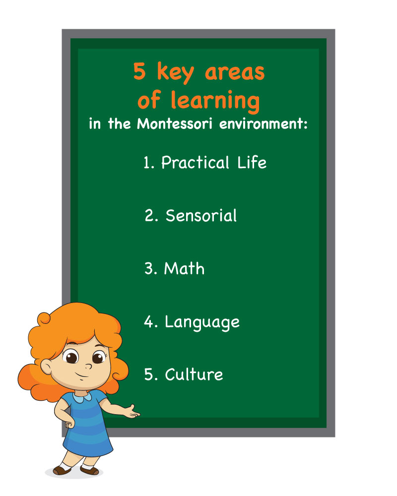 5 Learnign Areas of Montessori Method mobile